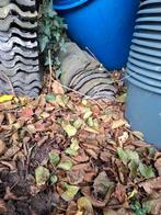 Gebruikte dakpannen - Steen of Klei, Doe-het-zelf en Verbouw, Dakpannen en Dakbedekking, Ophalen, Gebruikt, Steen of Klei, Minder dan 5 m²