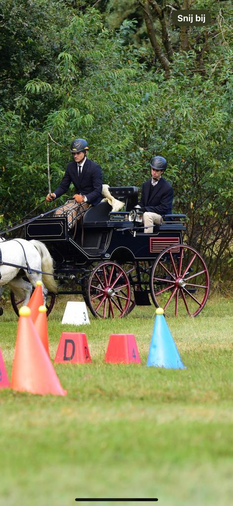 FEI Presentatiewagen - vierspan pony - Dominiak, Dieren en Toebehoren, Paarden en Pony's | Hoofdstellen en Tuigage, Zo goed als nieuw