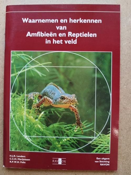 Waarnemen en herkennen van Amfibieën & Reptielen in het veld, Dieren en Toebehoren, Reptielen en Amfibieën | Toebehoren, Gebruikt