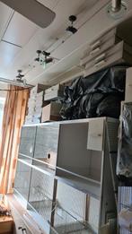 GEHU kooien te koop, Ophalen