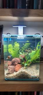 Nano cube aquarium 10L, Ophalen, Zo goed als nieuw, Leeg aquarium