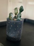 PTMD woondecoratie kunst cactus, Huis en Inrichting, Woonaccessoires | Vazen, Minder dan 50 cm, Glas, Blauw, Ophalen of Verzenden