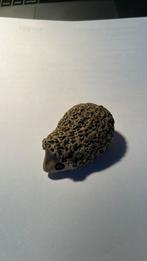 Terracotta egeltje, Antiek en Kunst, Ophalen of Verzenden