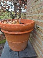 Terracotta zware bloempot bloempotten met hosta 40x38 cm, Tuin en Terras, Ophalen, Rond, Steen