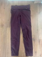 Rijlegging van Premiere maat 36, Dieren en Toebehoren, Zo goed als nieuw, Dames, Recreatie, Onderkleding