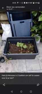 2 plastic moestuinbakken verrijdbaar met aarde, Ophalen, Zo goed als nieuw, Kweekbak