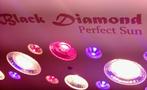 Kweeklamp black diamond perfect sun COB LED 600w, Ophalen, Zo goed als nieuw, Licht, Kleur