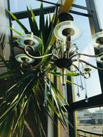 Kroonluchter met pegels., Ophalen, Gebruikt, Glas