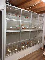 Broedkooien/vluchtkooien, Dieren en Toebehoren, Ophalen of Verzenden, Zo goed als nieuw, Hout, Broedkooi of Kweekkooi