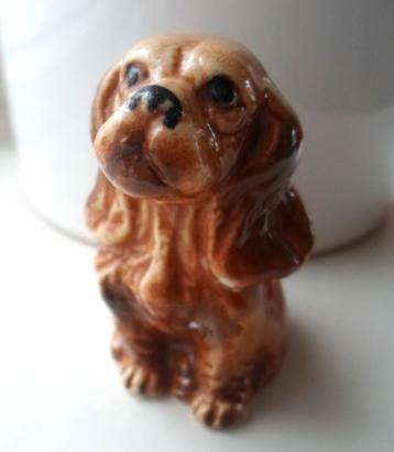 Porseleinen Spaniel hond. beschikbaar voor biedingen