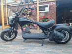 Mangosteen e -chopper, Elektrisch, Zo goed als nieuw, Ophalen, Overige merken