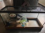 Knaagdier/ hamsterkooi, Dieren en Toebehoren, Minder dan 60 cm, Kooi, Ophalen of Verzenden, 75 tot 110 cm