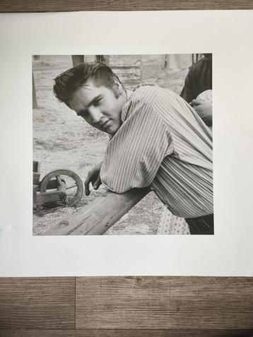 Elvis foto (1956) beschikbaar voor biedingen