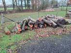 Tekoop beuken stamhout, 3 tot 6 m³, Ophalen, Beukenhout, Stammen