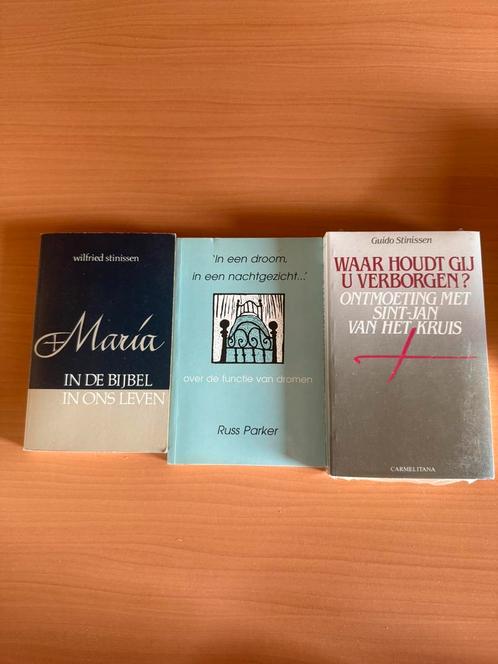 Uitverkoop religie/ zingeving boeken 3€, Boeken, Godsdienst en Theologie, Gelezen, Christendom | Katholiek, Ophalen of Verzenden