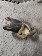 Inlaat c20xe, Ophalen of Verzenden, Zo goed als nieuw