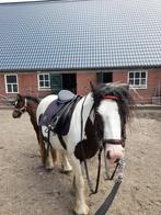 paard merrie  Tinker te koop, Dieren en Toebehoren, Paarden, Merrie, Minder dan 160 cm, Gechipt, Zadelmak