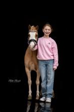 Super knappe welsh palomino B sportpony te koop!, Merrie, Met stamboom, Dressuurpony, L