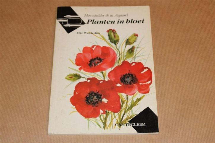 Planten in Bloei — Bloemen & Planten in Aquarel, Boeken, Hobby en Vrije tijd, Gelezen, Tekenen en Schilderen, Ophalen of Verzenden