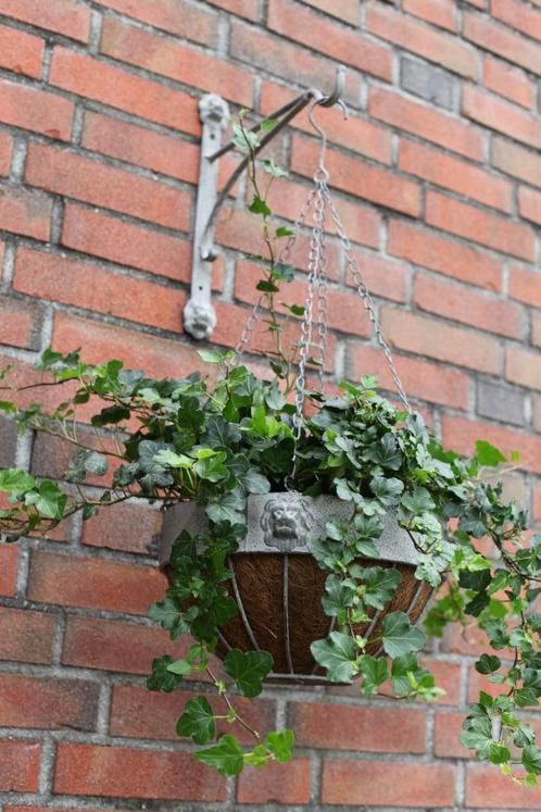 Wandhaak Aged Metal, Sierlijk, Haak, Antieklook, stoer, mooi, Tuin en Terras, Tuinwanddecoratie, Nieuw, Ophalen of Verzenden