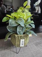 Diverse kunst planten Clayre en Eef, Ophalen of Verzenden