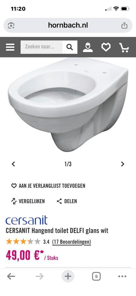 Hangend toilet pot met wc bril, Doe-het-zelf en Verbouw, Sanitair, Zo goed als nieuw, Toilet, Ophalen