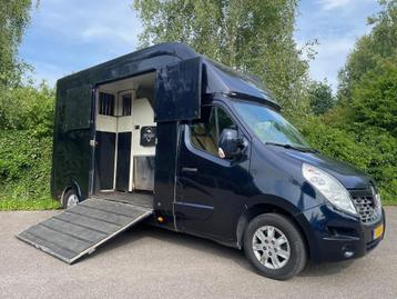 Renault Master Paardenwagen Horsetruck 2paards WEINIG KM beschikbaar voor biedingen
