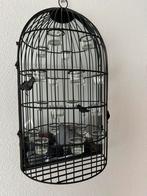 Decoratieve vogelkooi, Ophalen, Zo goed als nieuw