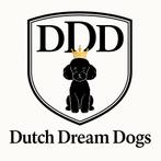 Gast gezinnen gezocht voor onze lieve puppies, Dieren en Toebehoren, Honden | Chihuahua's en Gezelschapshonden, 15 weken tot 1 jaar