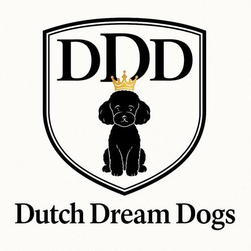 Gast gezinnen gezocht voor onze lieve puppies, Dieren en Toebehoren, Honden | Chihuahua's en Gezelschapshonden, Meerdere dieren