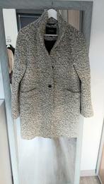 Jas van beaumont, Kleding | Dames, Beaumont, Ophalen of Verzenden, Zo goed als nieuw, Maat 36 (S)