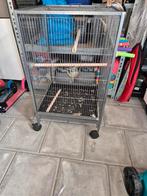 Papegaaienkooi, Ophalen of Verzenden, Vogelkooi