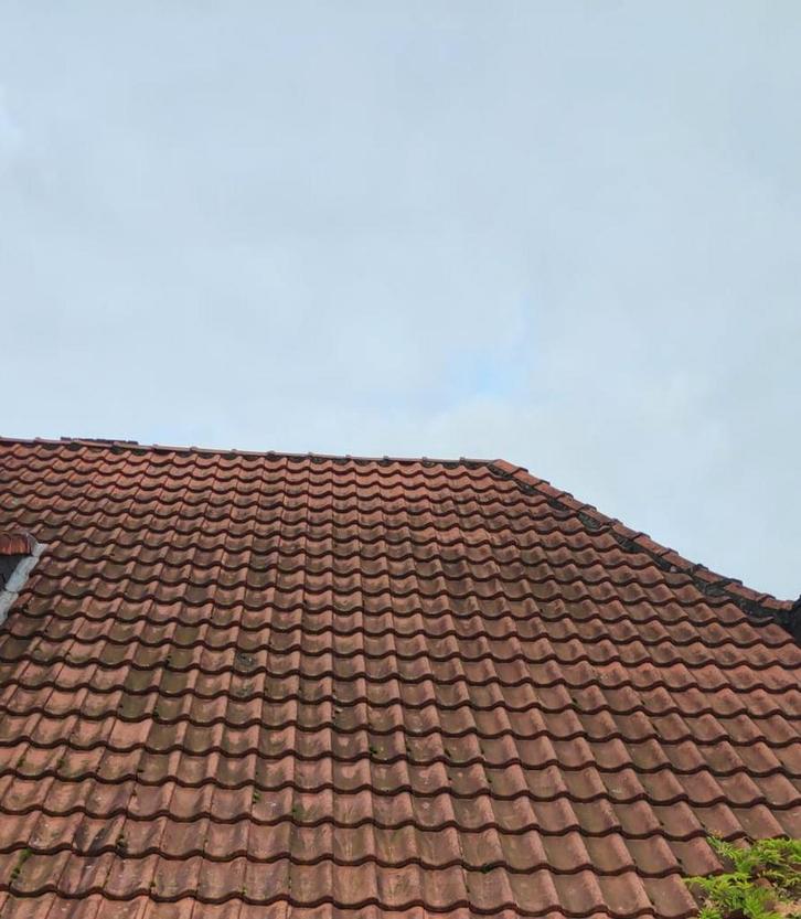 Gebruikte Holle Mulden Dakpannen - Paul Teeuwen, Doe-het-zelf en Verbouw, Dakpannen en Dakbedekking, Gebruikt, Dakpannen, Steen of Klei