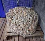 Heel veel slakkenhuizen!!! hele mand voor € 75,-!!!, Dieren en Toebehoren, Vissen | Aquaria en Toebehoren, Ophalen, Nieuw, Overige typen