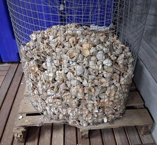 Heel veel slakkenhuizen!!! hele mand voor € 75,-!!!, Dieren en Toebehoren, Vissen | Aquaria en Toebehoren, Nieuw, Overige typen