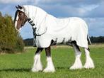 Rambo Sweet Itch Hoody XL, 175, 183, 191, 198, 206, 213, 221, Ophalen of Verzenden, Nieuw, Deken