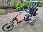 Van Raam Easy Rider, Fietsen en Brommers, Fietsen | Driewielfietsen, Ophalen, Zo goed als nieuw