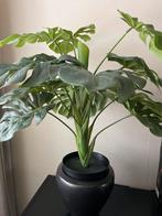 Kunststof Plant Monstera, Ophalen, Zo goed als nieuw, Binnen