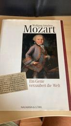 Wolfgang Amadeus Mozart, Ophalen of Verzenden, Zo goed als nieuw, Schilder- en Tekenkunst