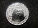 2021 Canada - Great Horned Owl - 3/4 oz reverse proof silver, Ophalen of Verzenden, Zilver
