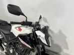 Honda CB 500 HORNET (bj 2024), Naked bike, Bedrijf, 12 t/m 35 kW