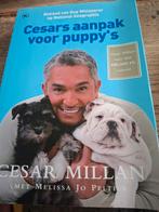 Cesar Millan - Cesars aanpak voor puppy's, Honden, Zo goed als nieuw, Cesar Millan, Ophalen of Verzenden