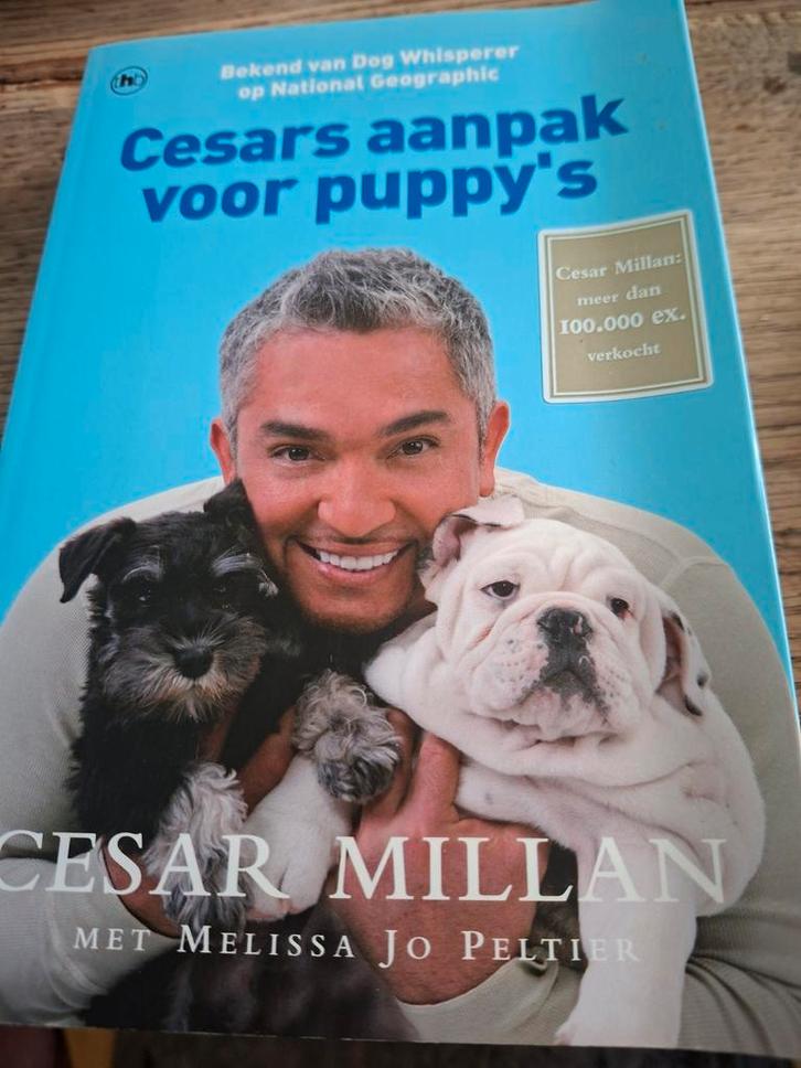 Cesar Millan - Cesars aanpak voor puppy's, Boeken, Dieren en Huisdieren, Zo goed als nieuw, Honden, Ophalen of Verzenden