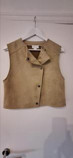 Gilet Cotton Club maat small., Kleding | Dames, Blouses en Tunieken, Ophalen of Verzenden, Zo goed als nieuw, Maat 36 (S), Groen