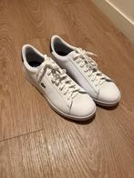 Lacoste 45 size, Sport en Fitness, Tennis, Overige merken, L00, Ophalen of Verzenden, Zo goed als nieuw