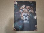 Leeuw canvas Posterjunkie 70*100, Ophalen, Zo goed als nieuw, Schilderij, 75 cm of meer