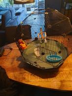 Vogelkooi, Dieren en Toebehoren, Ophalen, Zo goed als nieuw, Metaal, Vogelkooi