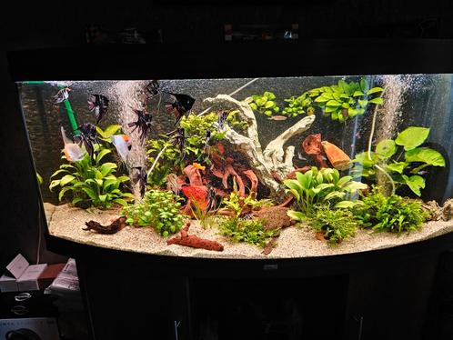 Stille aquarium pomp van eheim 400  compleet, Dieren en Toebehoren, Vissen | Aquaria en Toebehoren, Zo goed als nieuw, Filter of Co2
