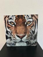Tijger poster/schilderij, Antiek en Kunst, Kunst | Schilderijen | Modern, Ophalen of Verzenden