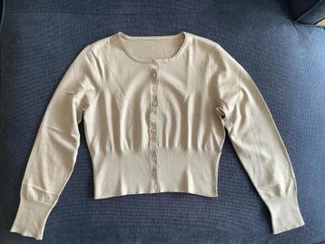 Prachtig kort vest zijde in beige maat 38 z.g.a.n.! beschikbaar voor biedingen